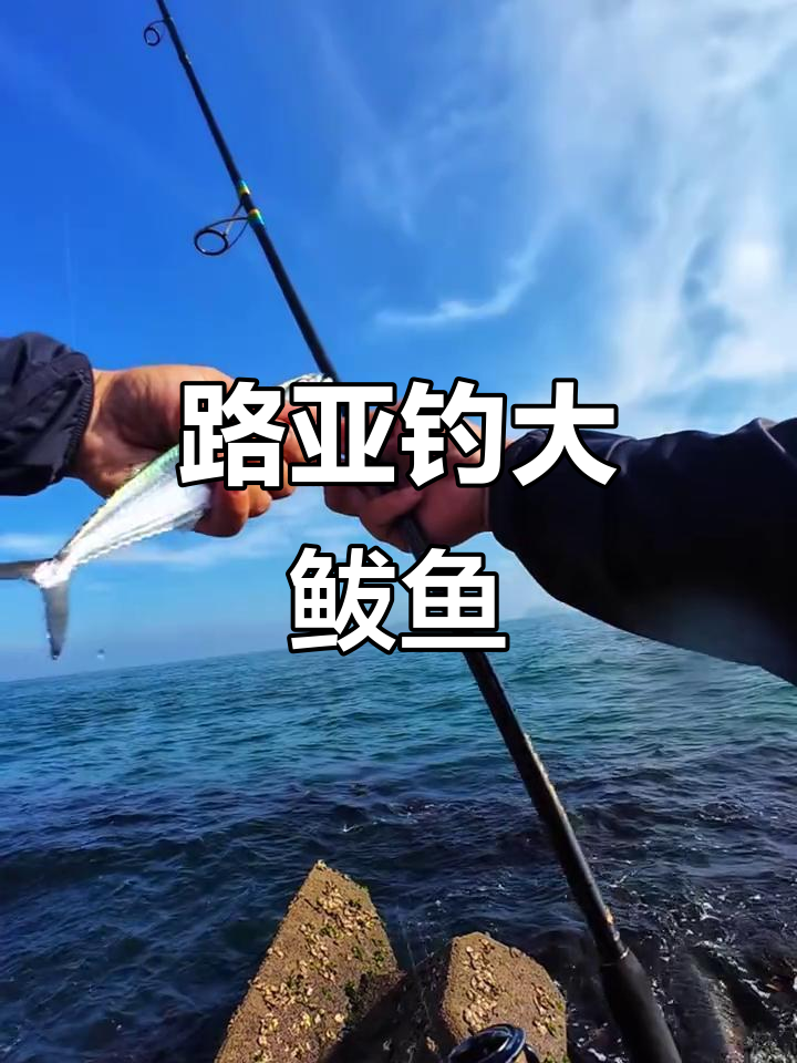 路亚海水鲅鱼技巧(路亚鲅鱼饵的选择)