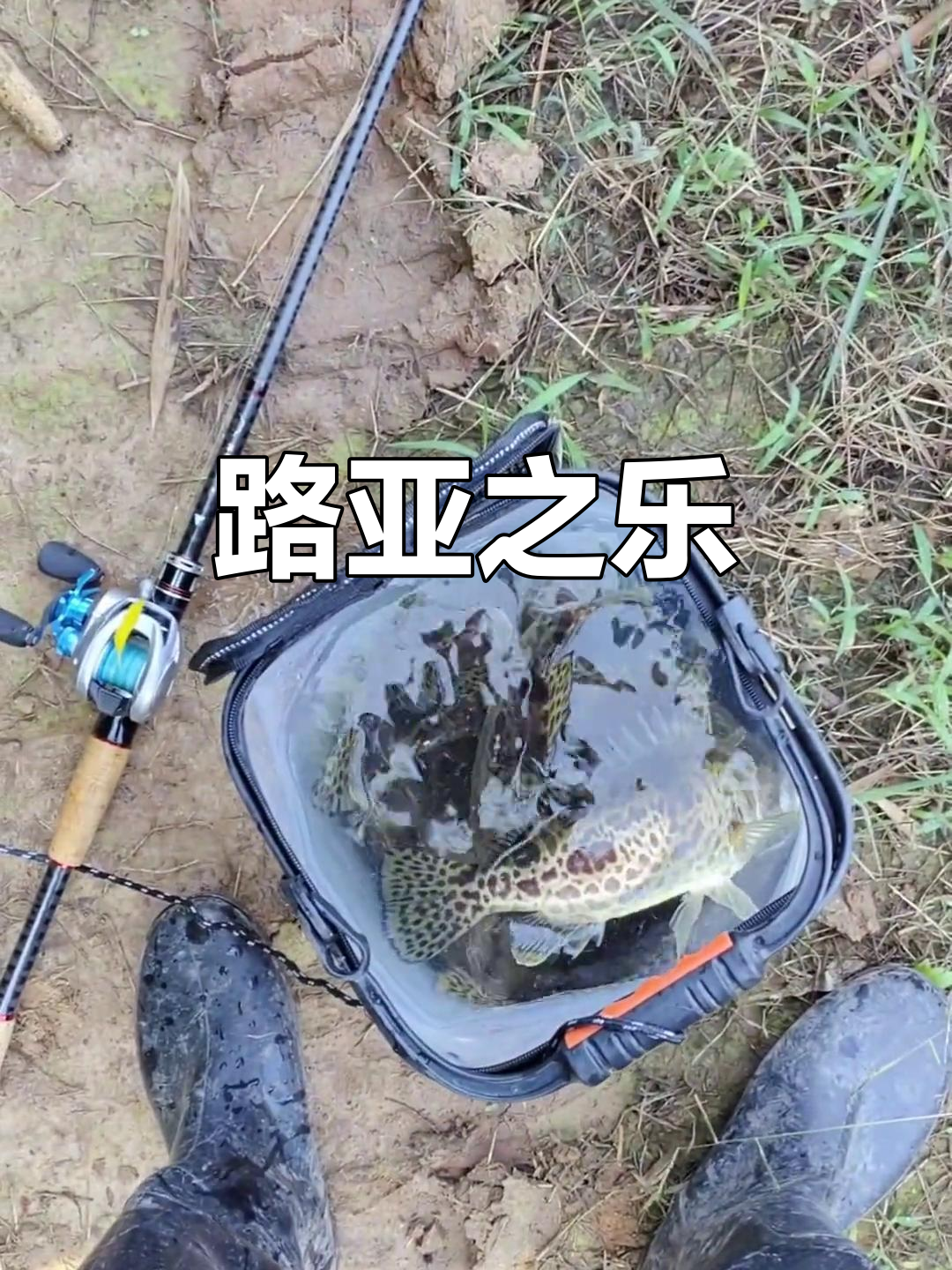 博鳌路亚(为什么不建议玩路亚)