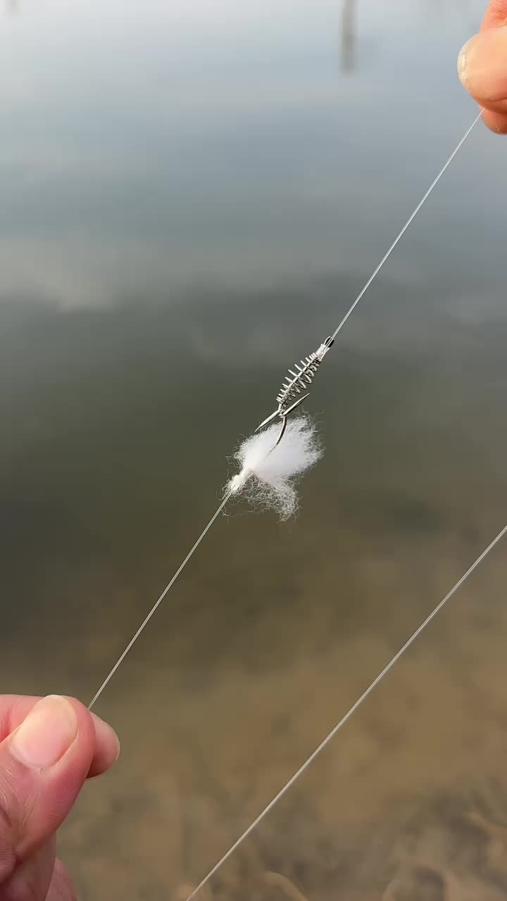 浮钓白条钓鱼的技巧(如何钓浮水白条)