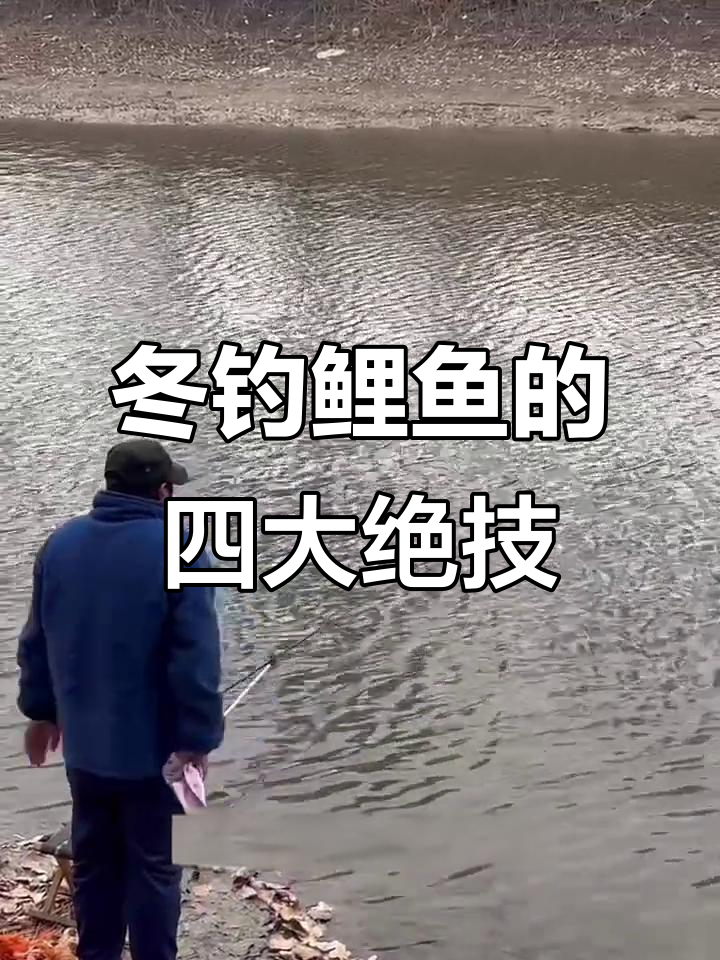 秋冬钓鲤鱼的技巧(秋冬鲤鱼怎么钓)