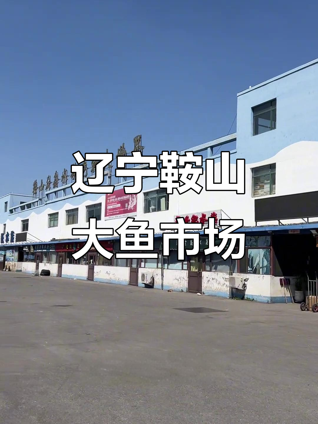 辽宁朝阳渔具大世界(世界第一只鸟飞起的地方辽宁朝阳)