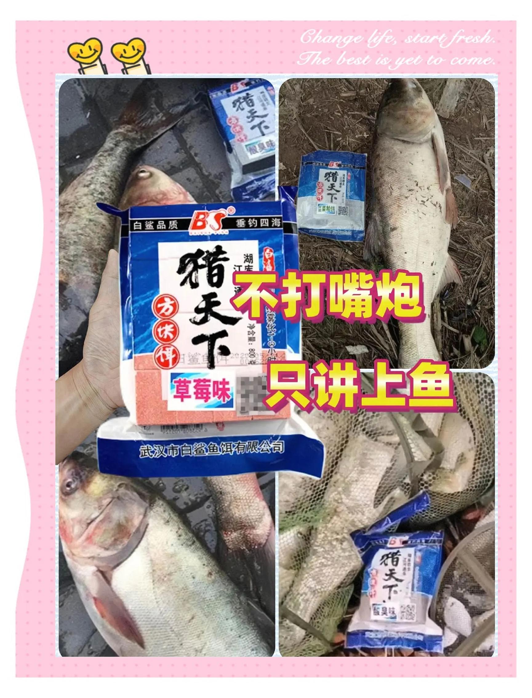 草鲤鳊饵料(草鲤鱼用什么饵料)