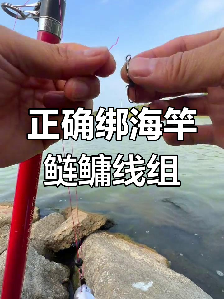海钓鳗鱼应该怎绑钓组(钓海鳗鱼视频)