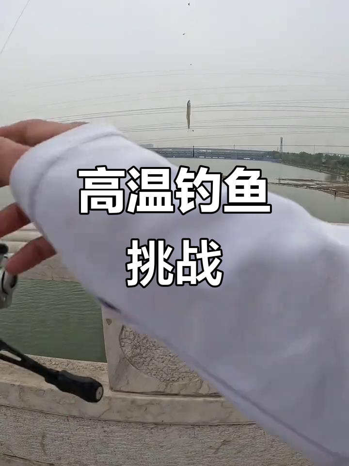 钓公鱼挂钩技巧(钓公鱼挂钩技巧图解)