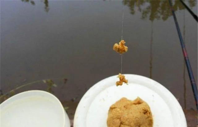 钓鱼饵料掉(饵料掉了浮漂就上来了是怎么回事)