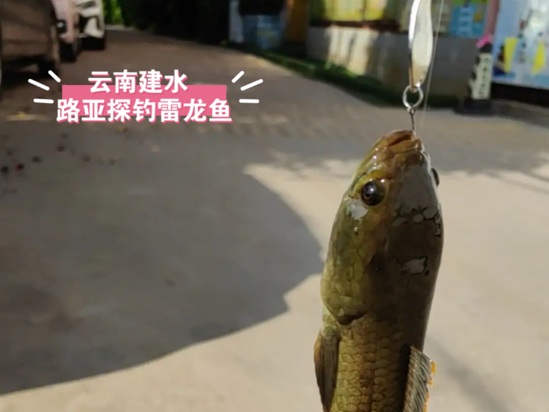 雷龙路亚竿(路亚竿十大排行榜)