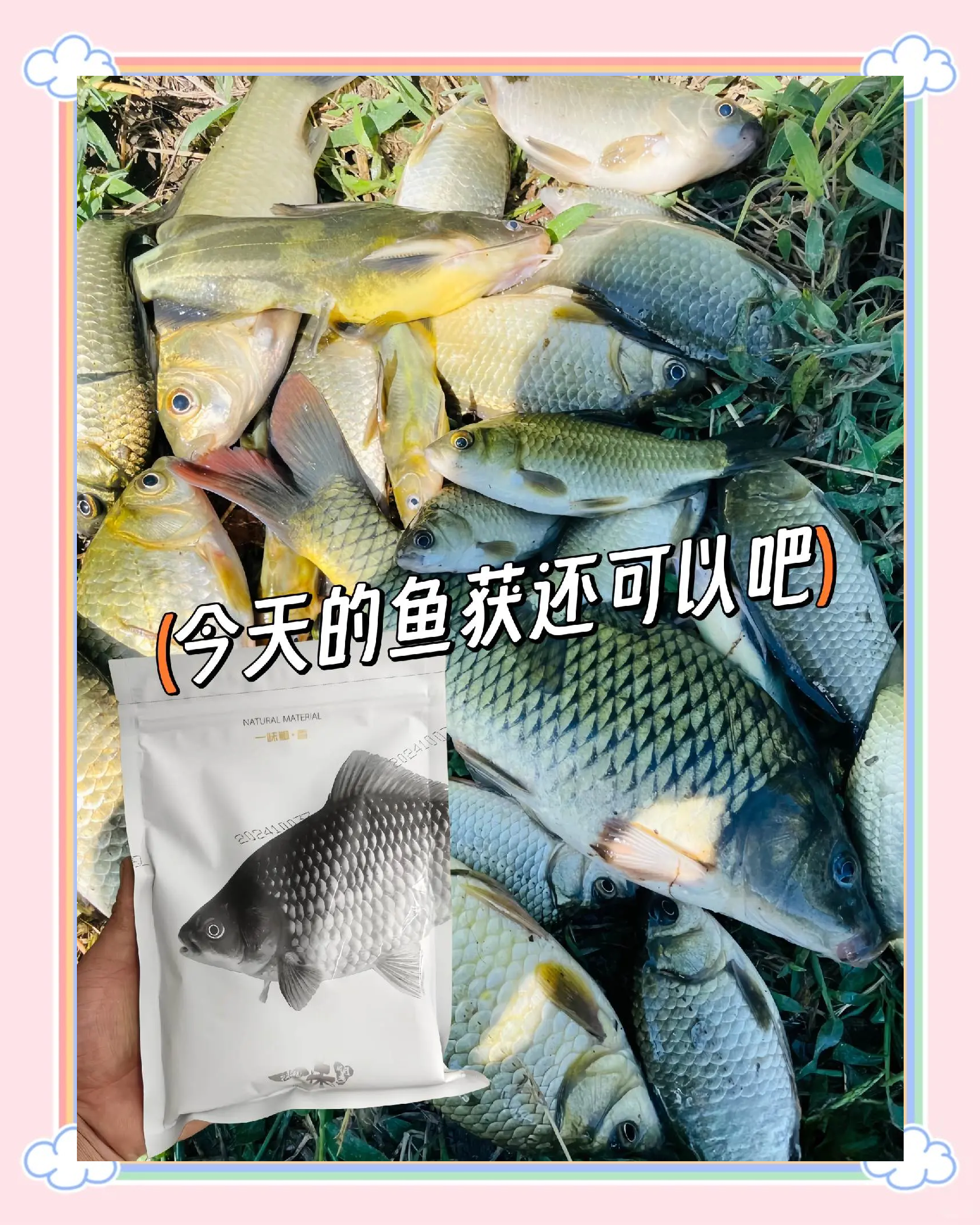 鱼不想吃饵料(鱼不想吃饵料什么原因)