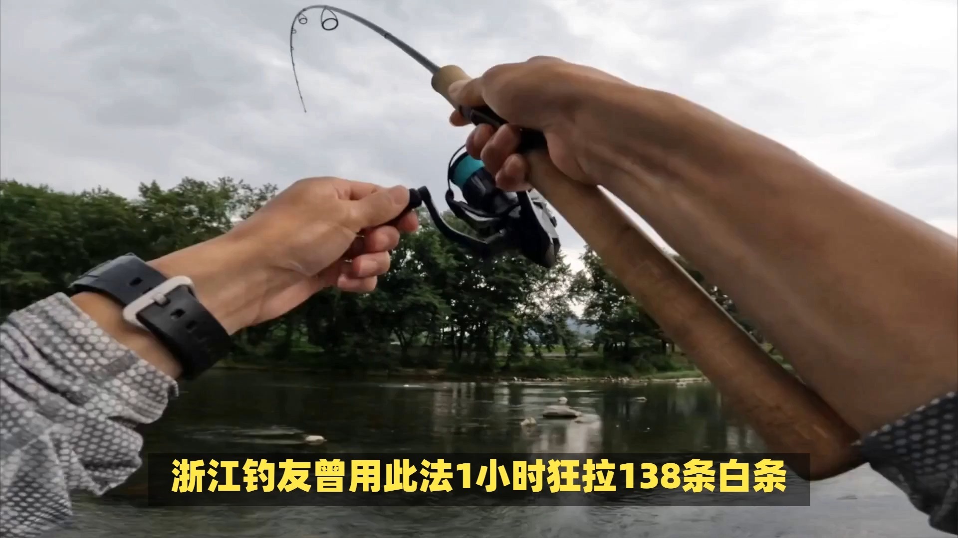 台钓白条鱼的技巧和方法(台钓白条鱼的技巧和方法图解)