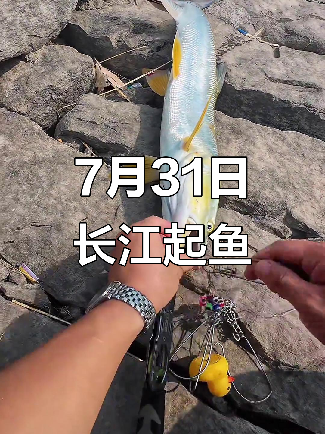 退水路亚翘嘴(河水浑浊能否路亚翘嘴)