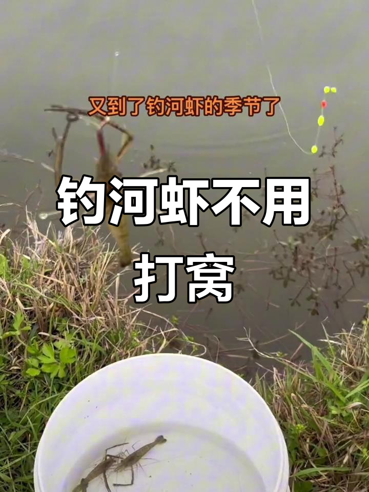 野钓河虾的选位技巧(河虾的钓法钓河虾)