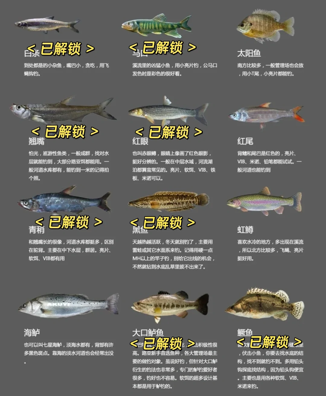 路亚小鱼技巧(路亚怎么钓小鱼的教程)