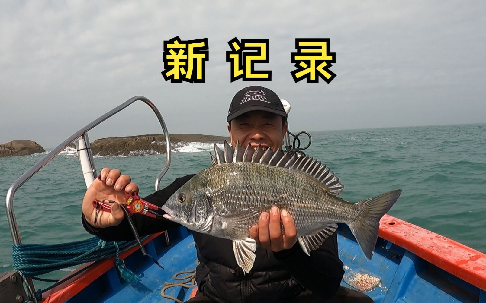黑鲷能路亚吗(黑鲷鱼用什么路亚饵)