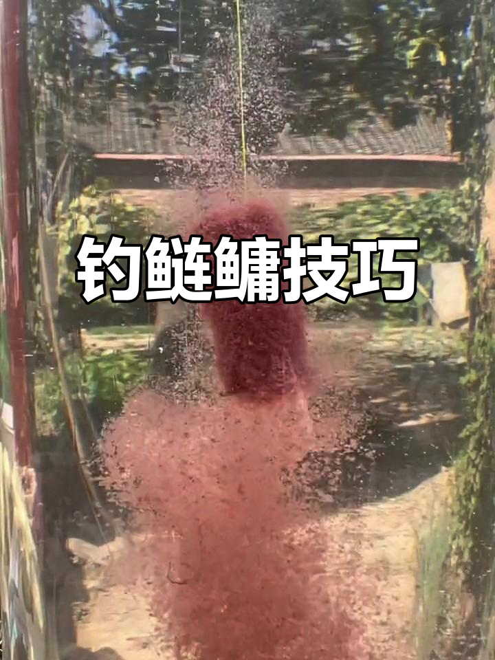 饵料雾化怎么调(饵料的雾化怎么调整)