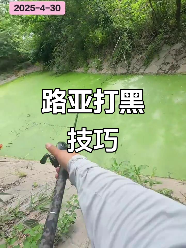 打黑路亚技巧(打黑路亚视频教学)