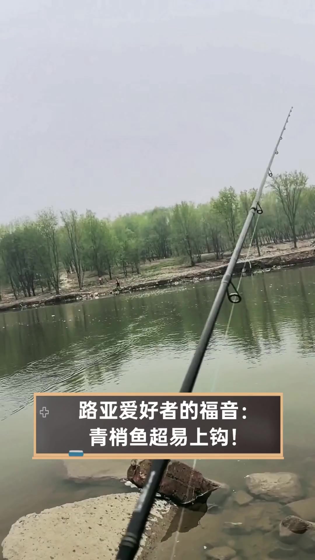 冬季路亚青稍技巧(路亚青梢最佳时间)