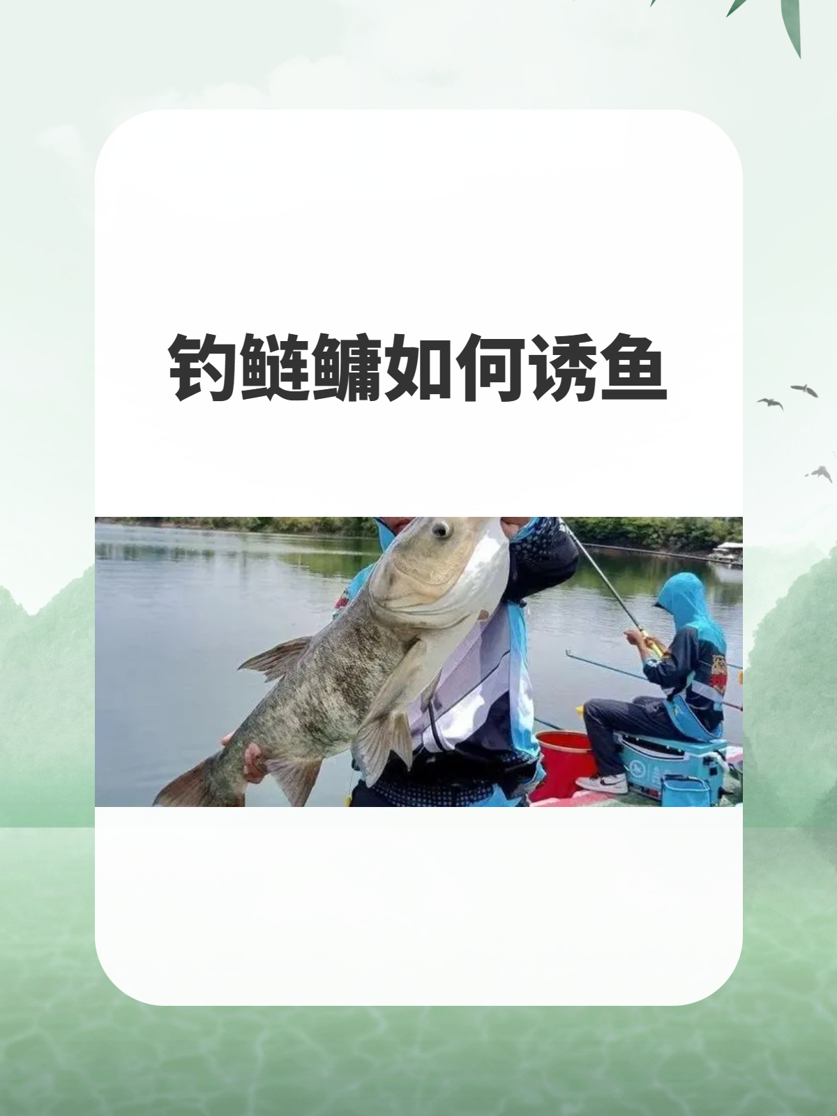 钓鱼诱鱼技巧(最好的诱鱼方法)