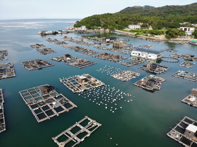 南澳海钓基地(南澳钓点)
