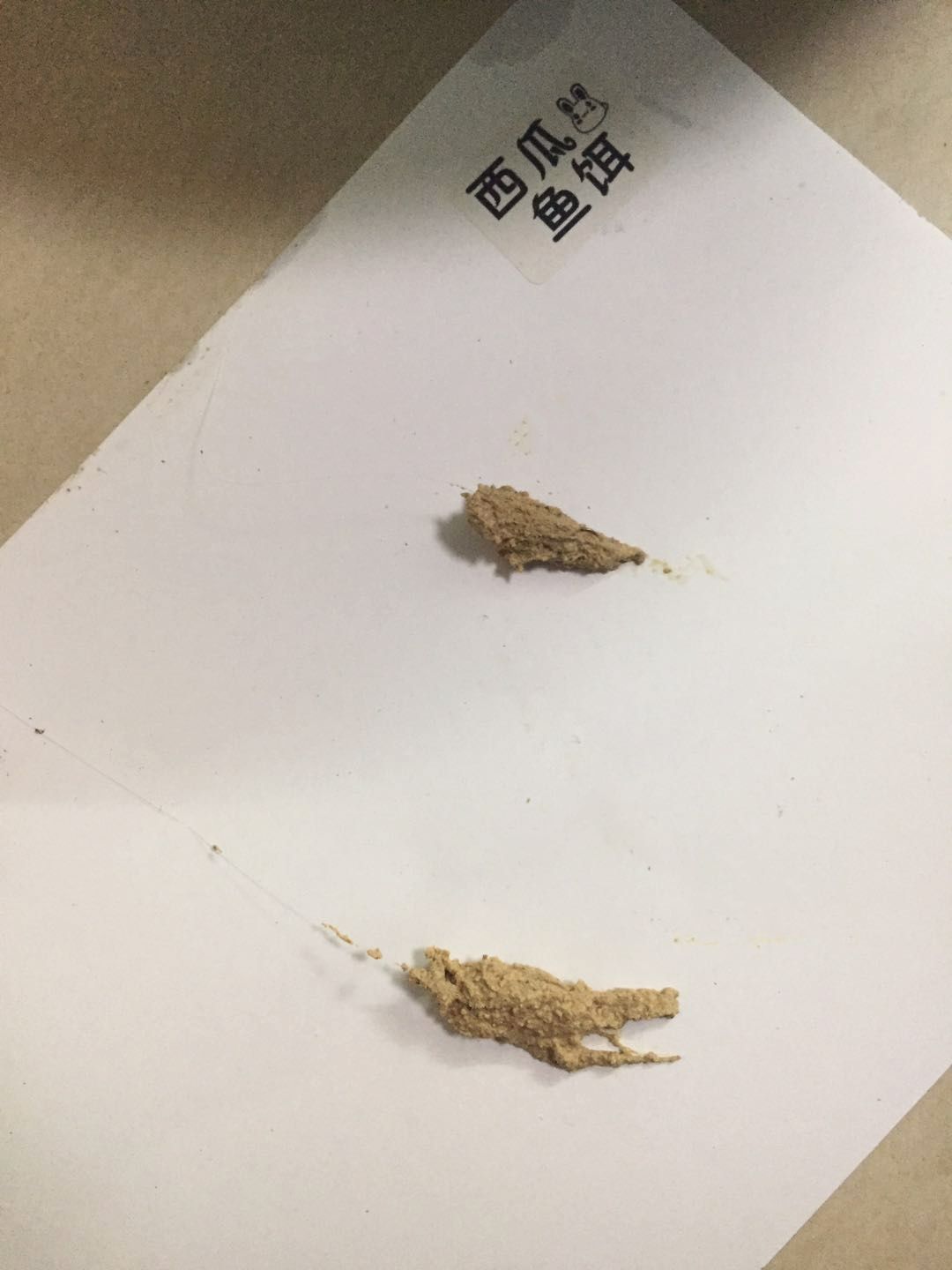 饵料没状态(饵料到不了底怎么办)