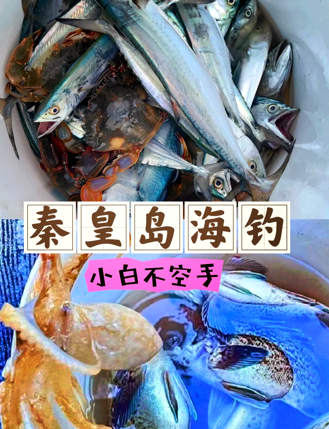 文昌收费海钓(文昌钓点)