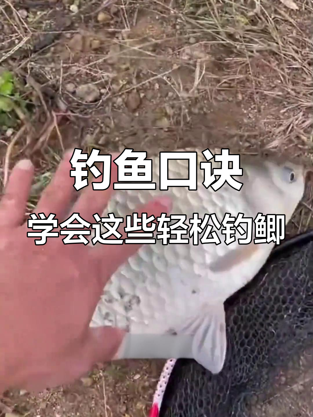 秋季浅水钓小鲫鱼技巧(秋季浅水钓小鲫鱼技巧和方法)