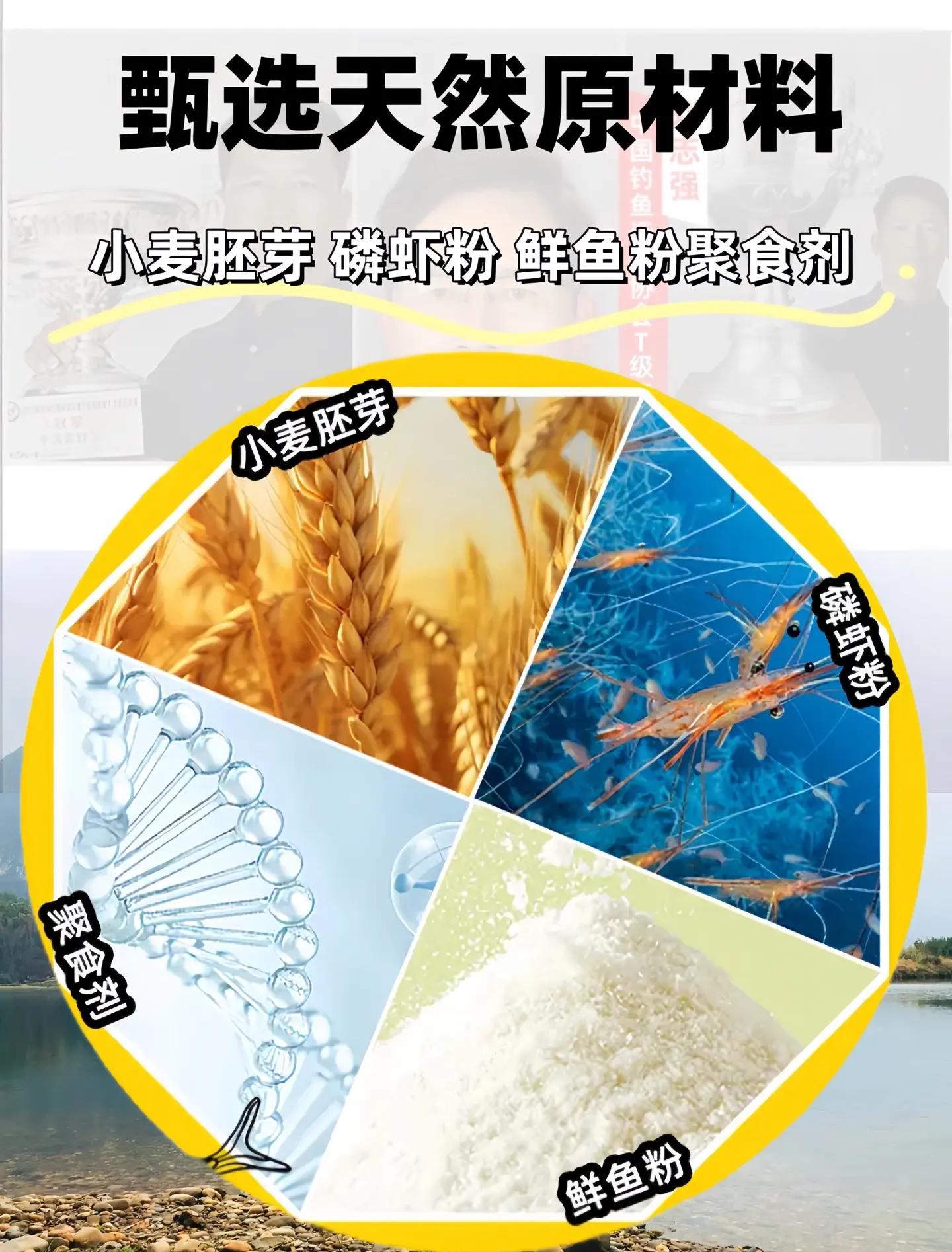 四季鲫鱼饵料(钓鲫鱼四季怎样配味)