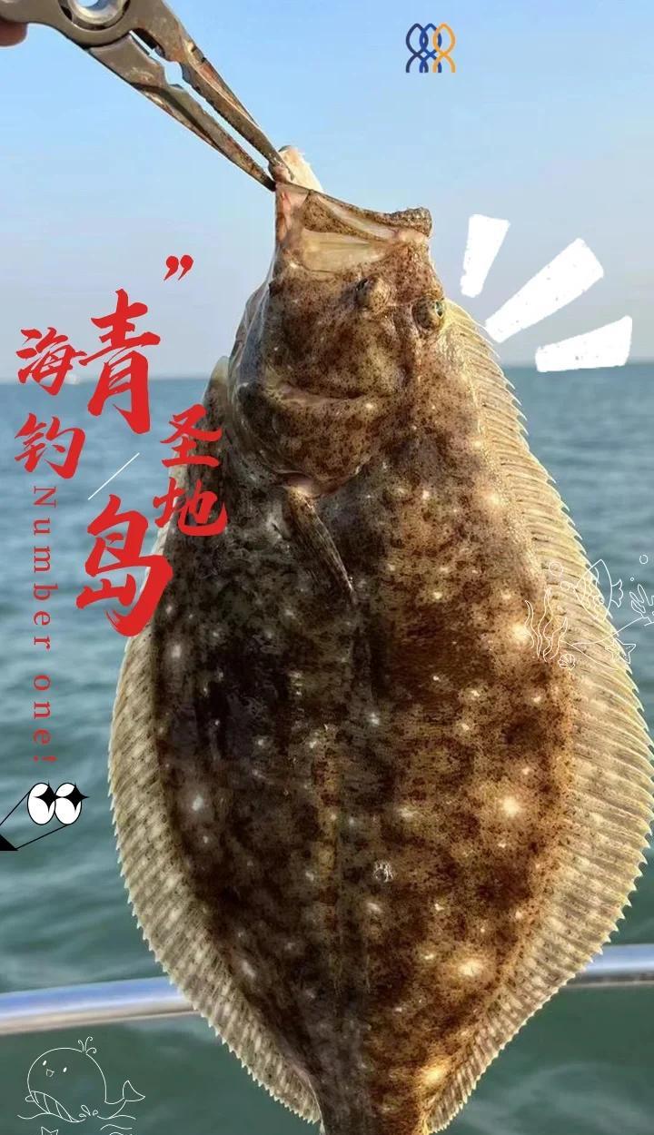 海钓基地条件(海钓基地条件是什么)