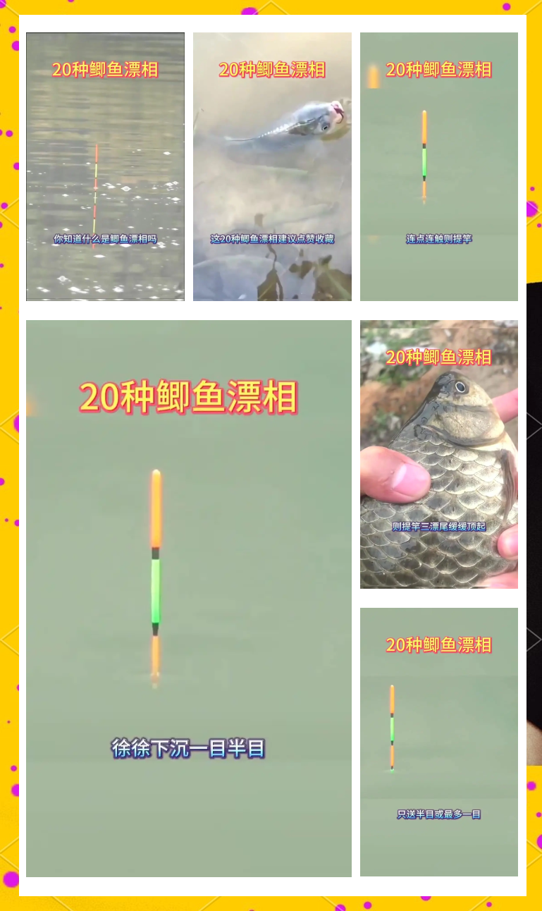 野钓鲫鱼选漂技巧大全(野钓鲫鱼怎么选择浮漂)