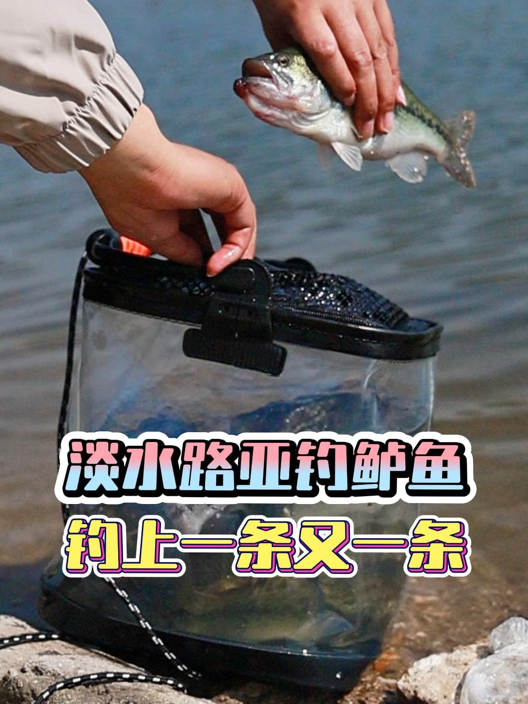 夜里路亚淡水鲈鱼技巧(路亚夜钓鲈鱼技巧)