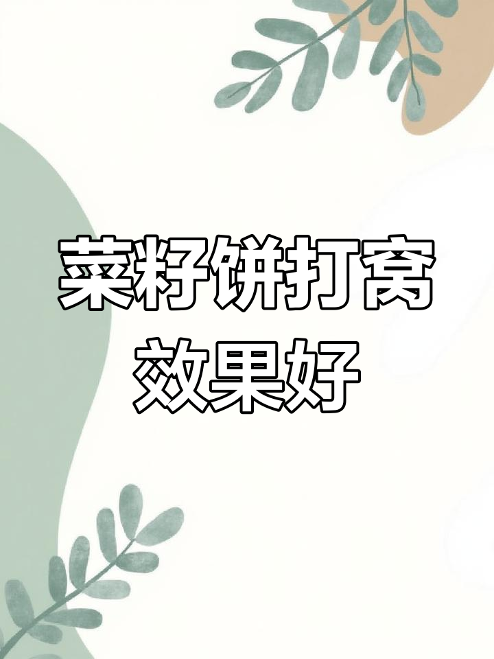 菜仔饼打窝技巧(菜籽饼打窝用什么饵料钓鱼)