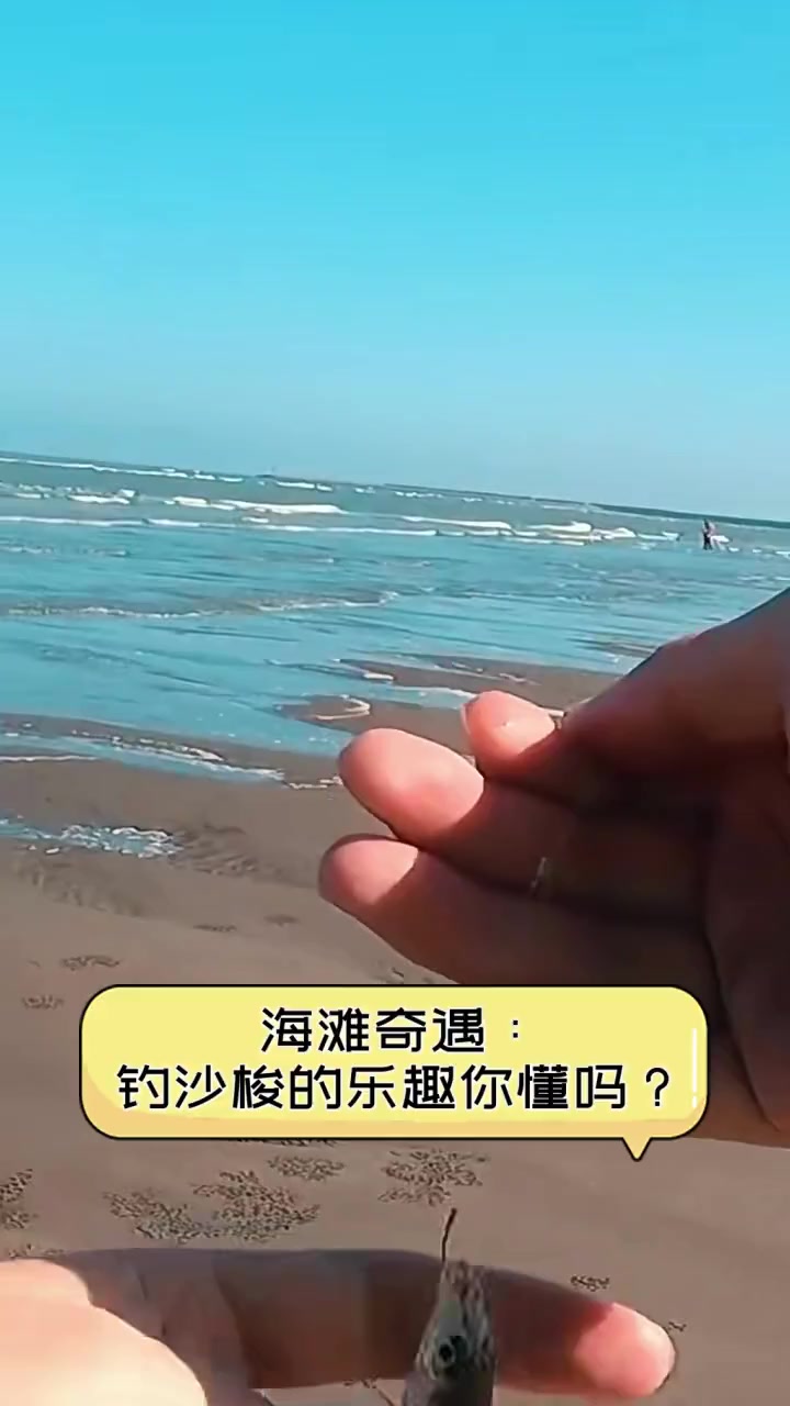 海钓沙梭的技巧(海钓梭鱼的钓法)