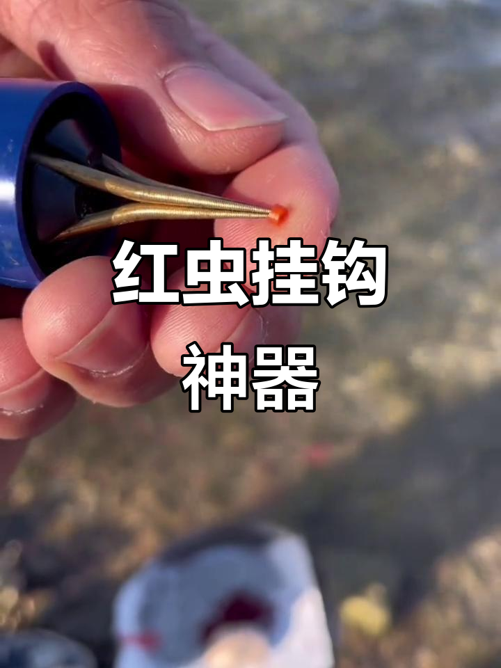 用红虫钓鱼的技巧(用红虫钓鱼怎样不闹小鱼)