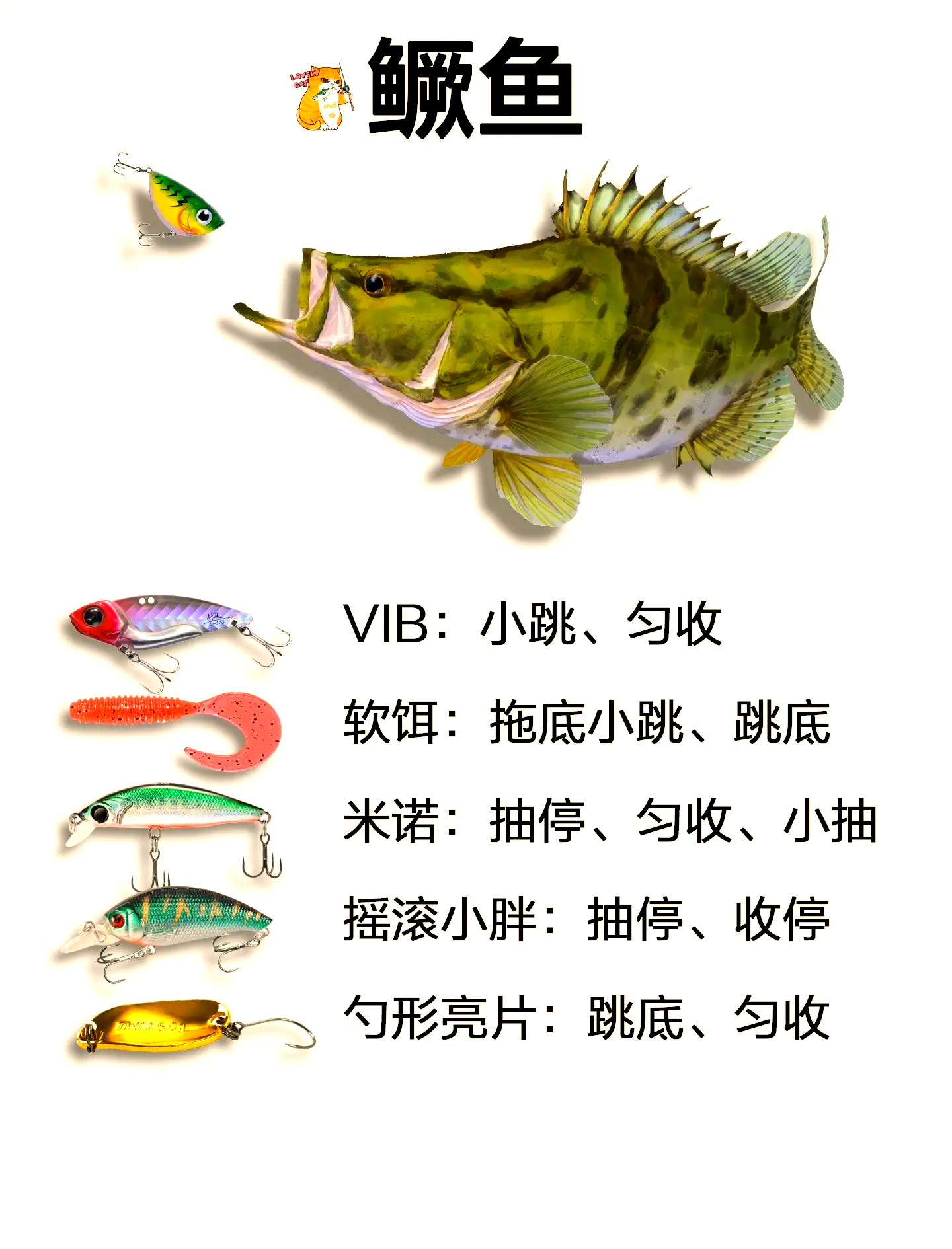 路亚饵怎么选线(路亚怎么选线组)