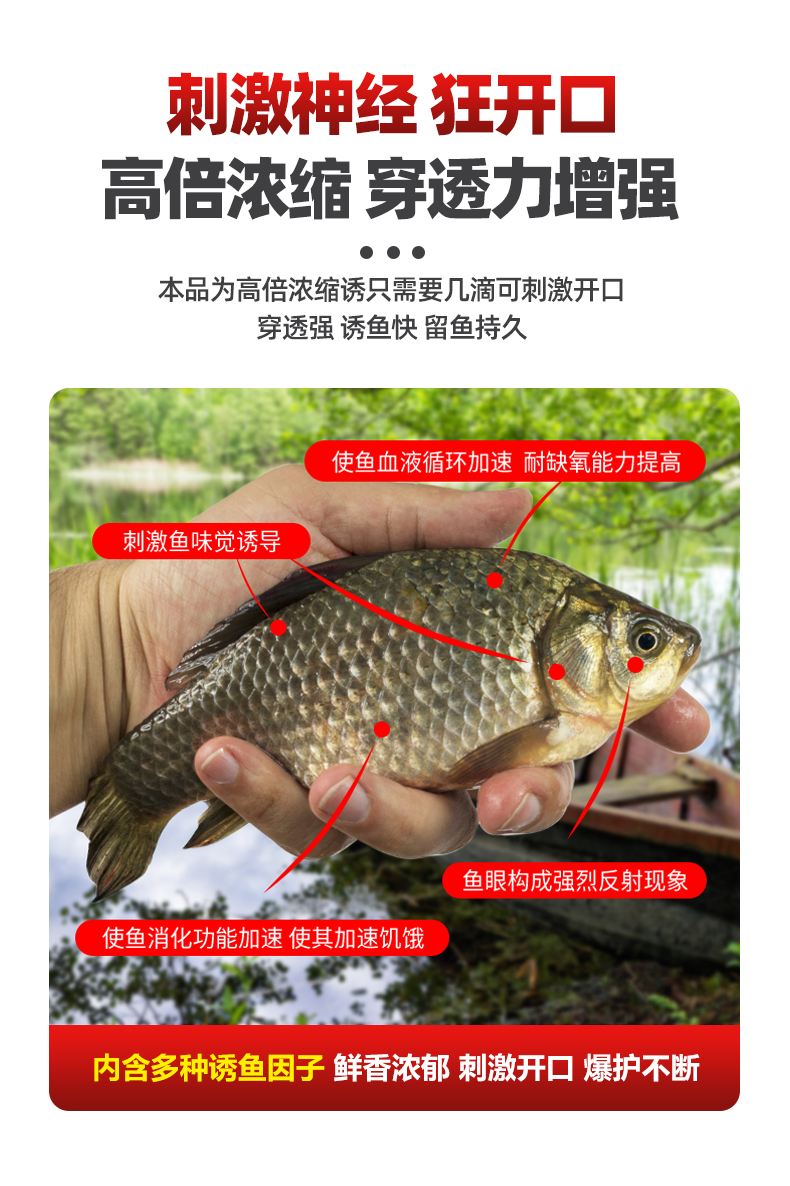 肥水钓鲫鱼怎么用饵料(肥水野钓用什么饵料)