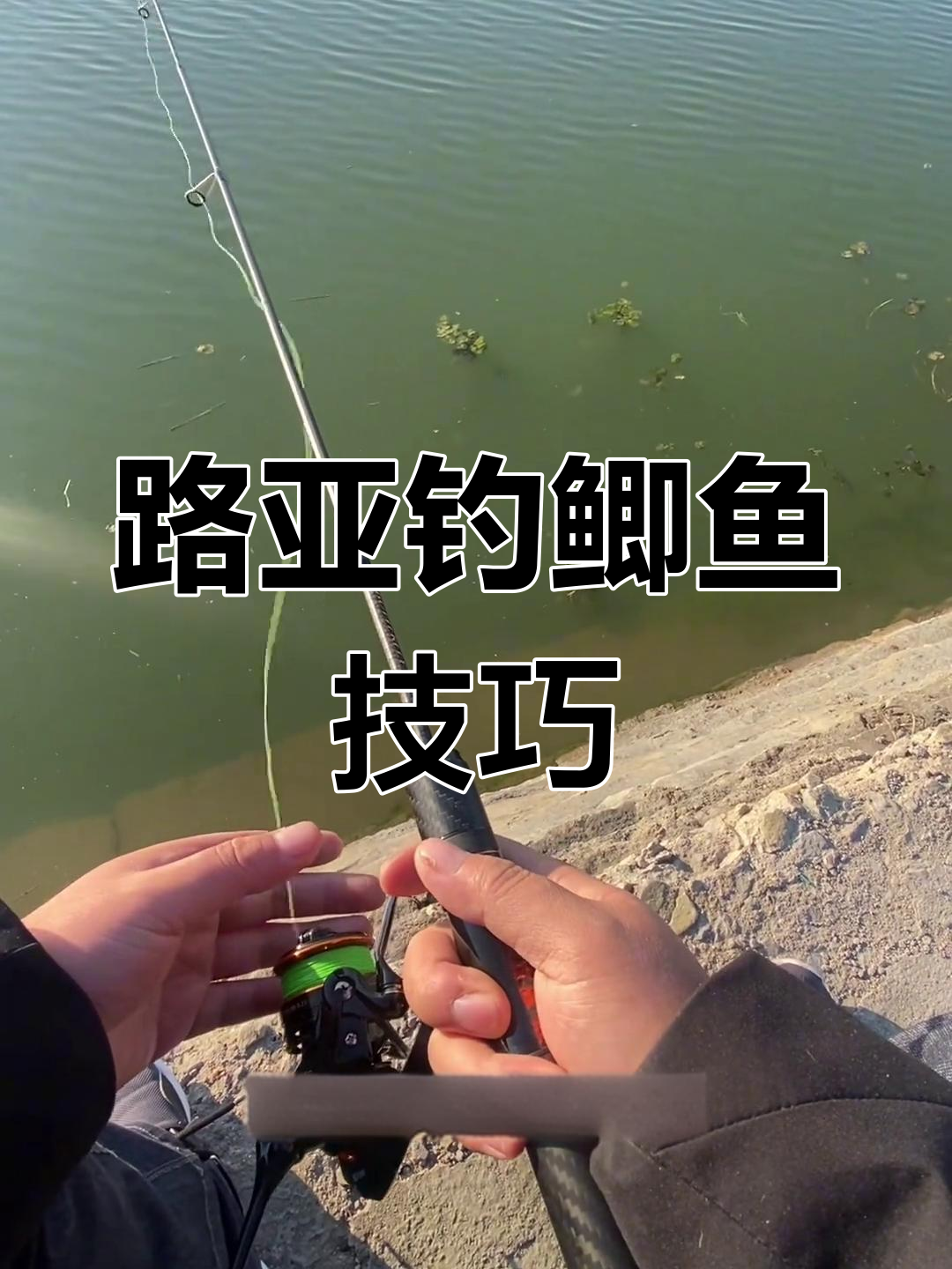 路亚竿可以钓鲫鱼么(路亚竿可以钓鲤鱼和鲫鱼吗)