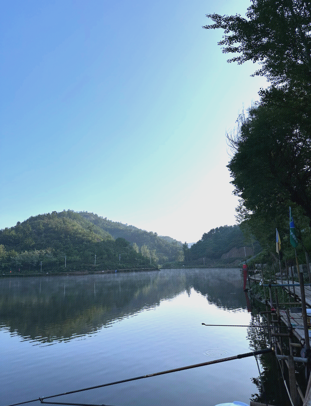 立夏水库钓青鱼的技巧(夏季钓青鱼最佳时间和温度)