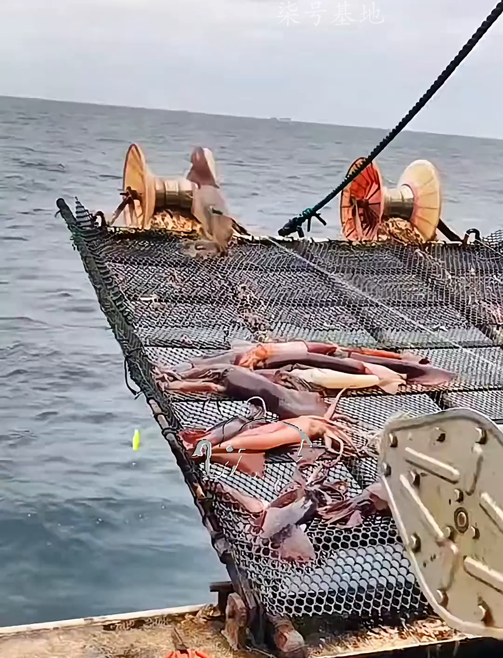 海边咸淡水钓鱼技巧(在咸淡水河流钓鱼技巧)
