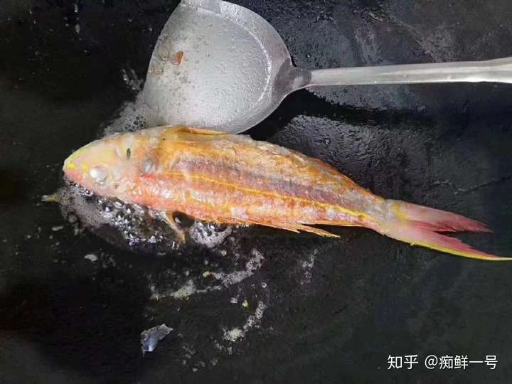 饶平出海钓红杉鱼(日照出海捕鱼多少钱一人)