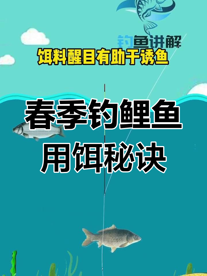 调鱼饵的技巧(调鱼饵的方法视频)