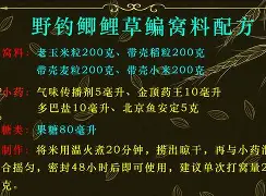 丸久饵料的使用(丸久饵料怎么样)
