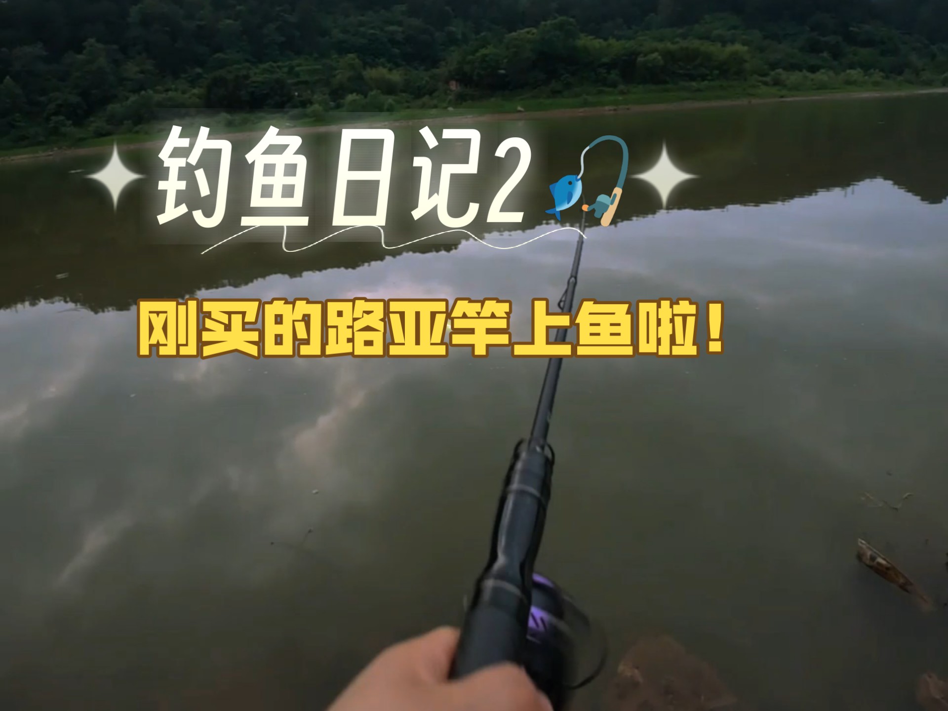 放鸡岛适合钓路亚吗(路亚假饵四种就够了)