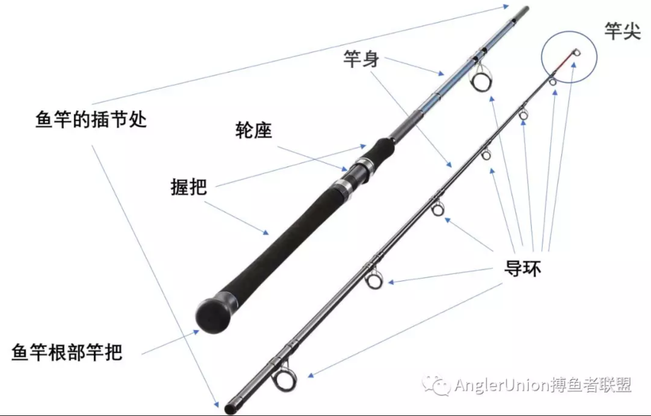 路亚竿选购技巧(路亚竿的选择讲解视频)