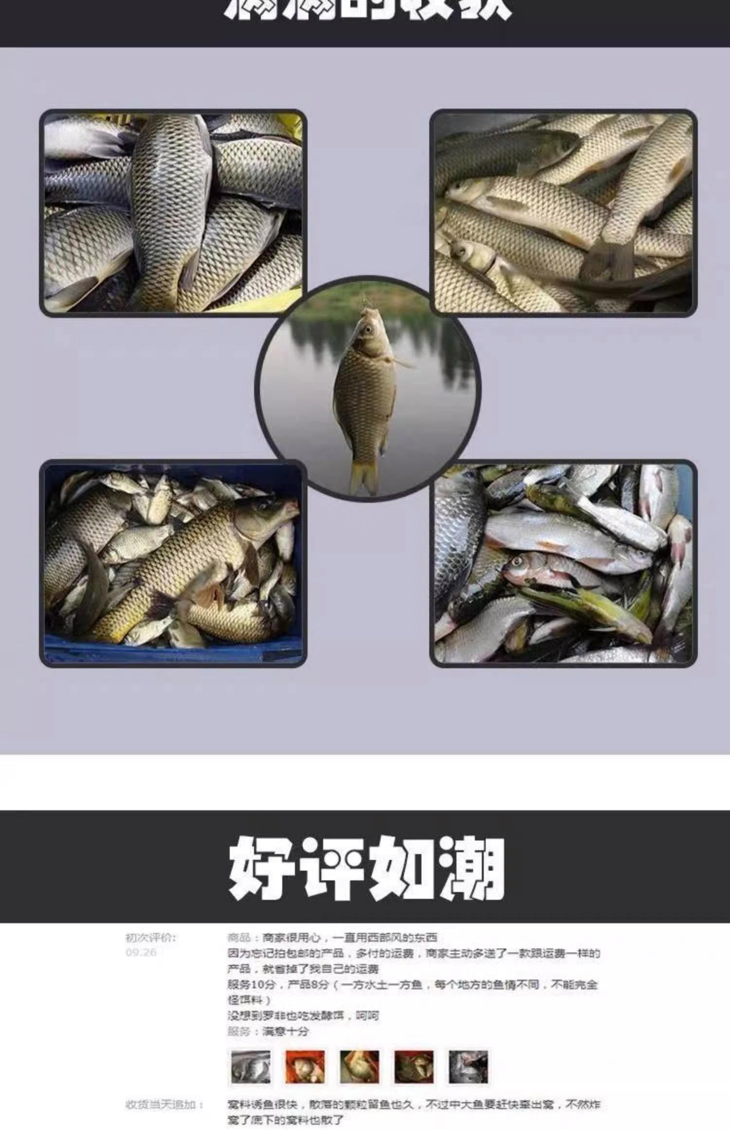 钩草鲤商品饵料配方(钓草鲤鱼饵料配方)