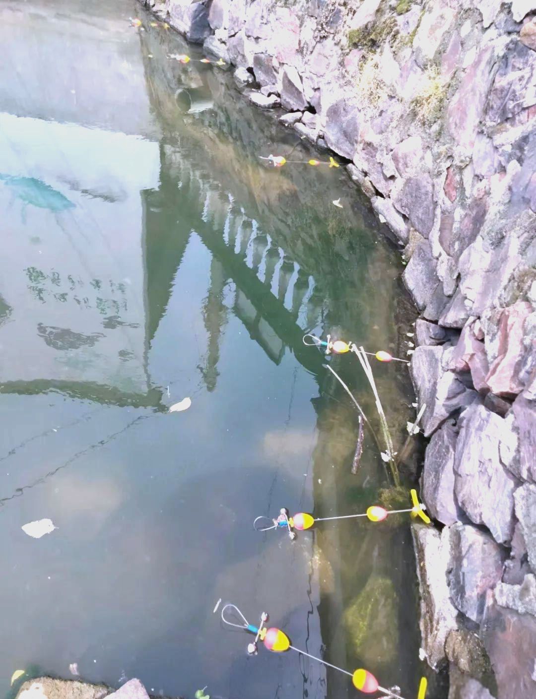 钓黄鳝经验技巧(钓黄鳝高手)