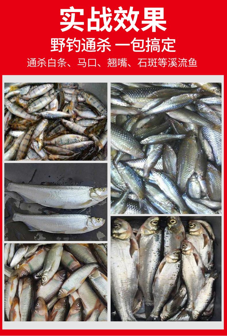 溪石斑用什么饵料(溪石斑最厉害三个饵料)