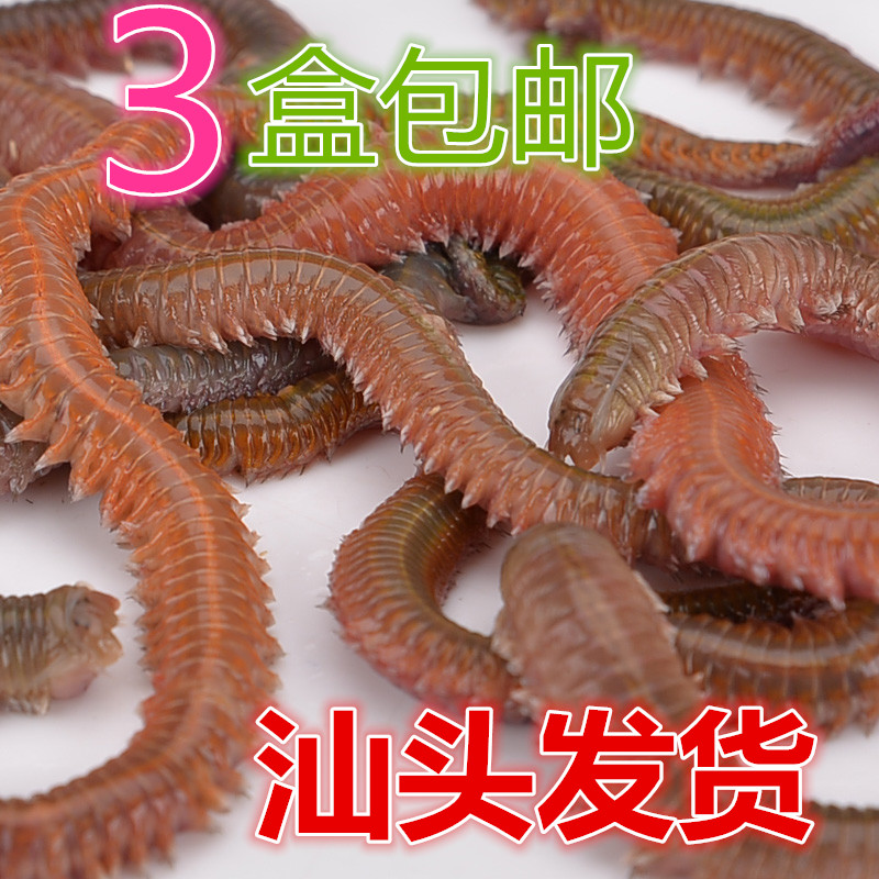 海钓用活饵(海钓用活饵钓鱼违法吗)