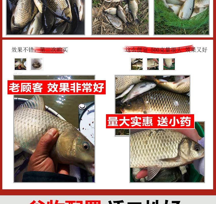 饵料秋腥(秋钓饵料)