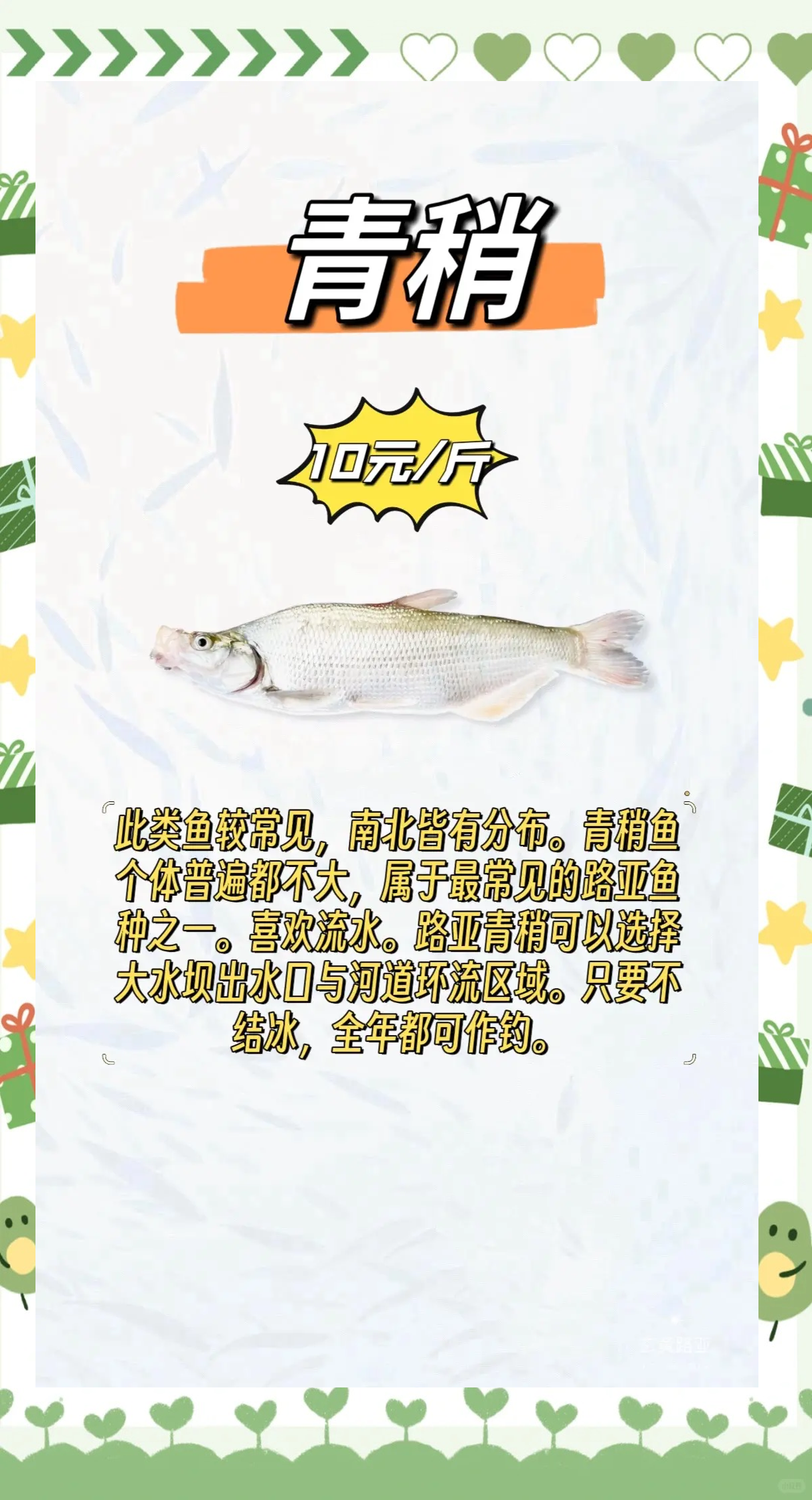 鲢鳙可以路亚吗(鲢鳙用什么路亚饵)