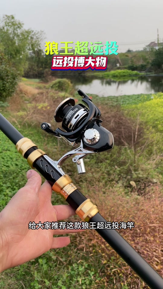 潍坊狼王渔具碧水钓具(狼王钓具价格表)