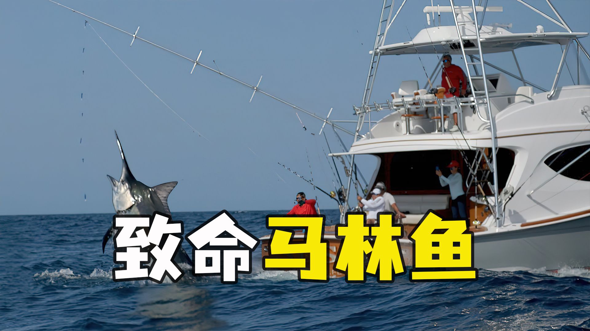海钓最大的马林(钓到的最大的马林鱼有多重)