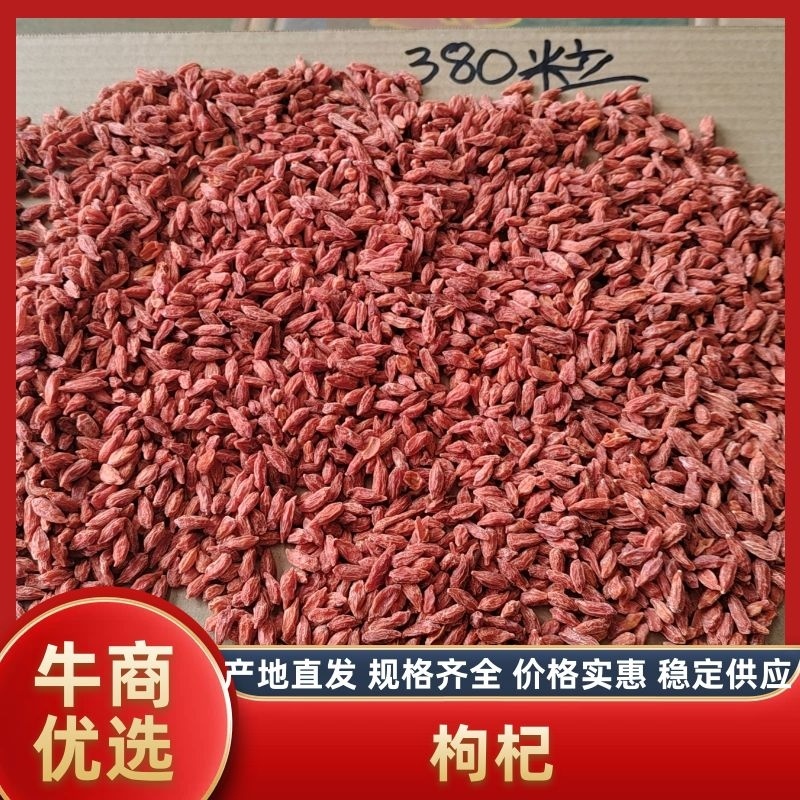 红枸杞钓鱼饵料(用枸杞钓什么鱼)